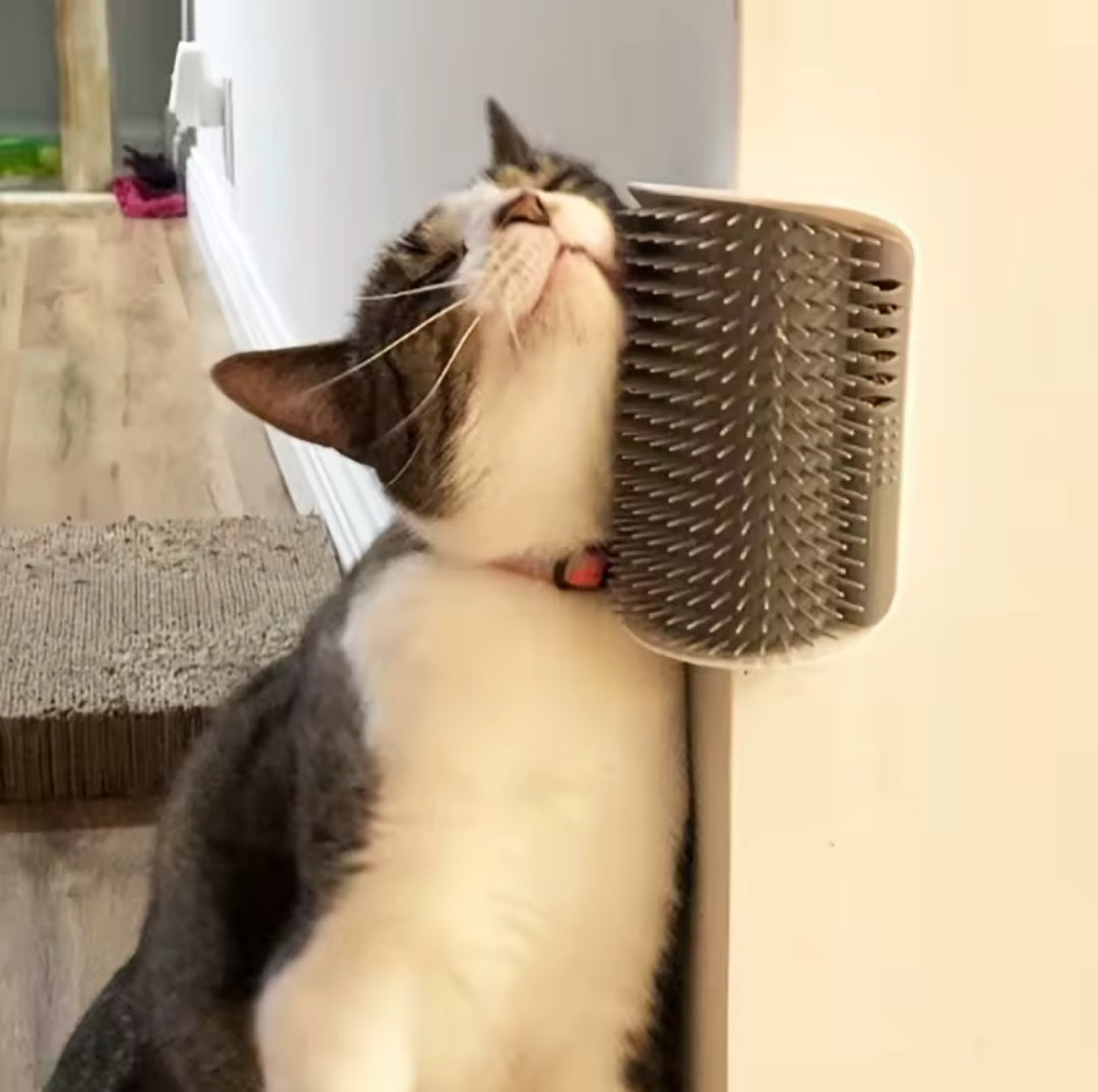 Katzen-Selbstbürste für die Wand